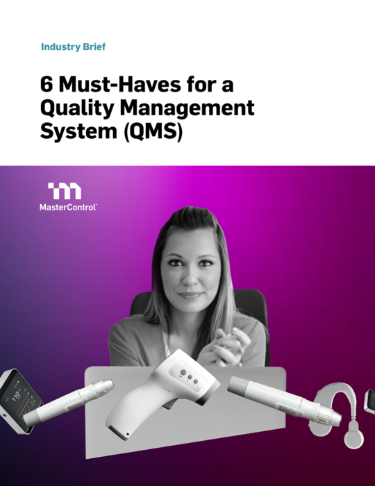 6 Must Haves For A Quality Management System Qms