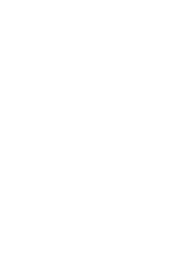 lock icon