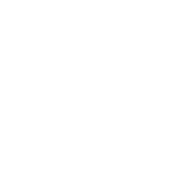 pdf icon